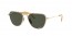 9205P1 (gold) dark green polar. lens