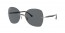 003/81 (black on silver) polarized dark grey lens
