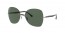 154/71 (black on sanding gunmetal) dark green lens