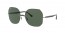 154/71 (black on sanding gunmetal) dark green lens