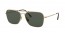 9143 (demi gloss white gokld) polar. dark green lens