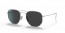 920948 (silver) polar black lens