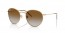 001/CB (arista gold) clear gradient brown lens
