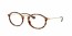 5494 (brown havana)