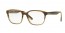 5542 (brown horn on gradient trans. beige)