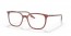 8171 (brown on transparent)