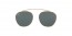 250071 (gold frame/green lens)