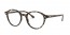 8065 (brown havana)