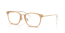 8473 (transparent brown on pale gold)