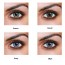 Freshlook-one-day-colours