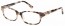 N81 (light tortoiseshell)