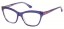 D69 (blue/purple)