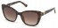 52F (dark havana/gradient brown lens)
