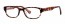 tortoiseshell - P03