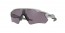 9208B9 (matte cool grey) prizm grey lens