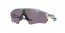 9208C5 (holographic) prizm grey lens