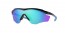 934321 (polished black) prizm sapphire lens