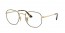 2945 (gold top havana)