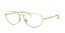 2500 (gold)