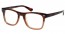 101 (brown fade)