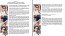 Style Shades Overview