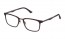 0786 (SHINY HAVANA)