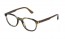 6U8Y (STRIPED SHINY BROWN AND GREEN)