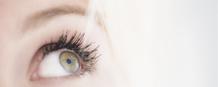 Eye Protect System from Essilor Eye Protect System